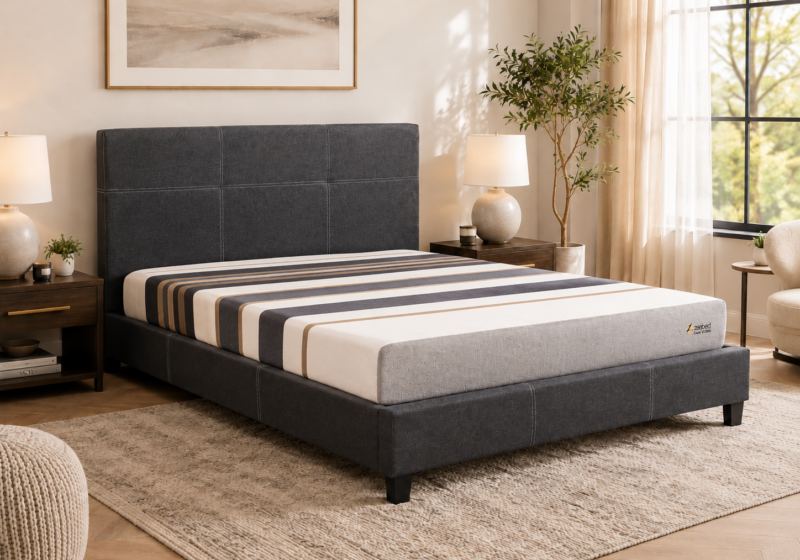 Chambre moderne et apaisante avec lumière naturelle : inspiration chambre
