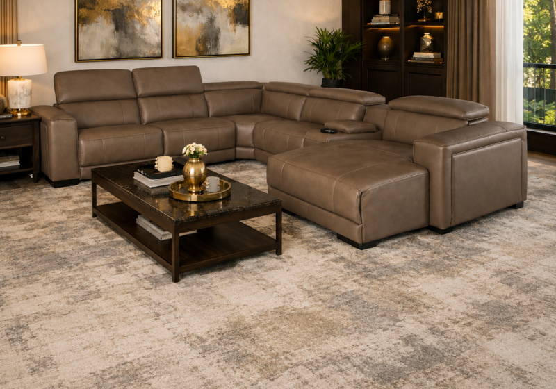 Salon moderne et chaleureux avec cuir : inspiration salon