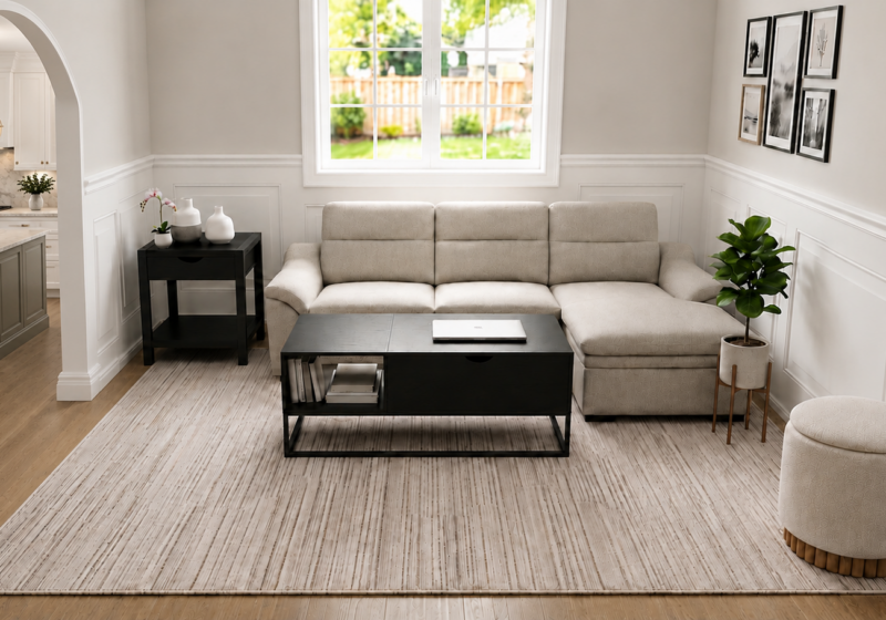 Salon minimaliste avec lumière naturelle : inspiration salon