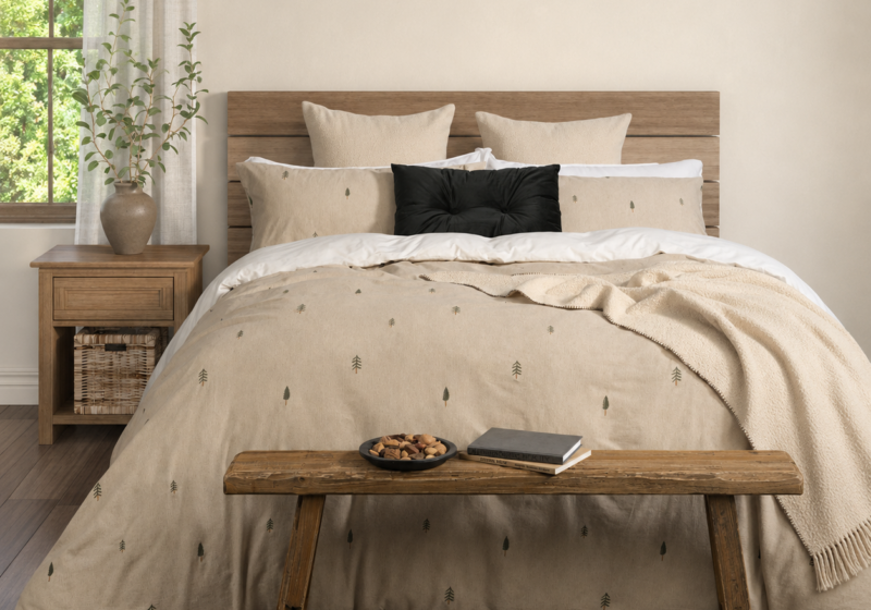 Chambre rustique avec lumière naturelle : inspiration chambre